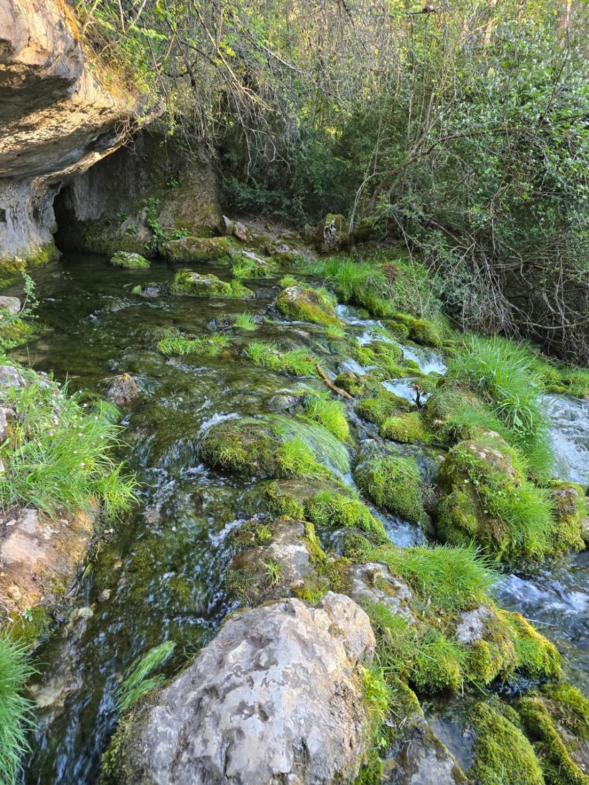 Poveda de la Sierra Hostal Rural Alto Tajo Poveda מראה חיצוני תמונה
